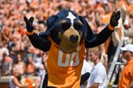 Tennessee Mascots Smokey